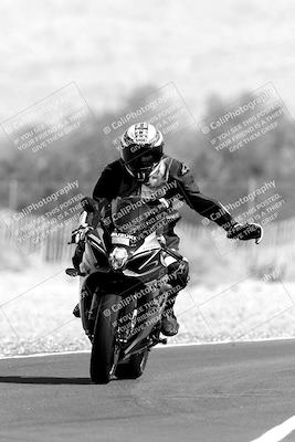 media/Nov-05-2022-SoCal Trackdays (Sat) [[f8d9b725ab]]/Track Exit (1120am)/